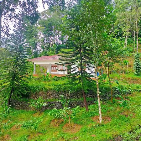 Anivilla Holiday Home Kunjithanny Anachal Buitenkant foto
