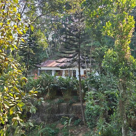Anivilla Holiday Home Kunjithanny Anachal Buitenkant foto