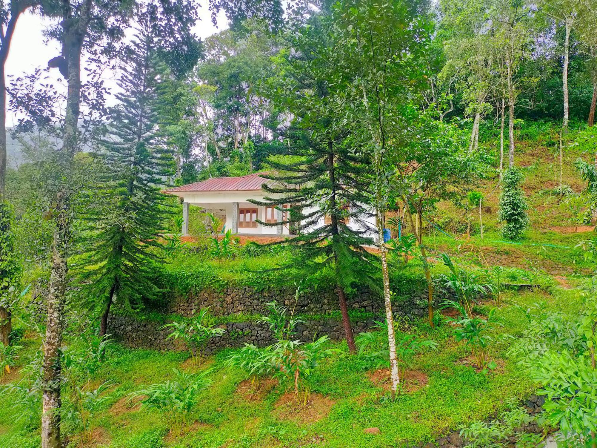 Anivilla Holiday Home Kunjithanny Anachal Buitenkant foto