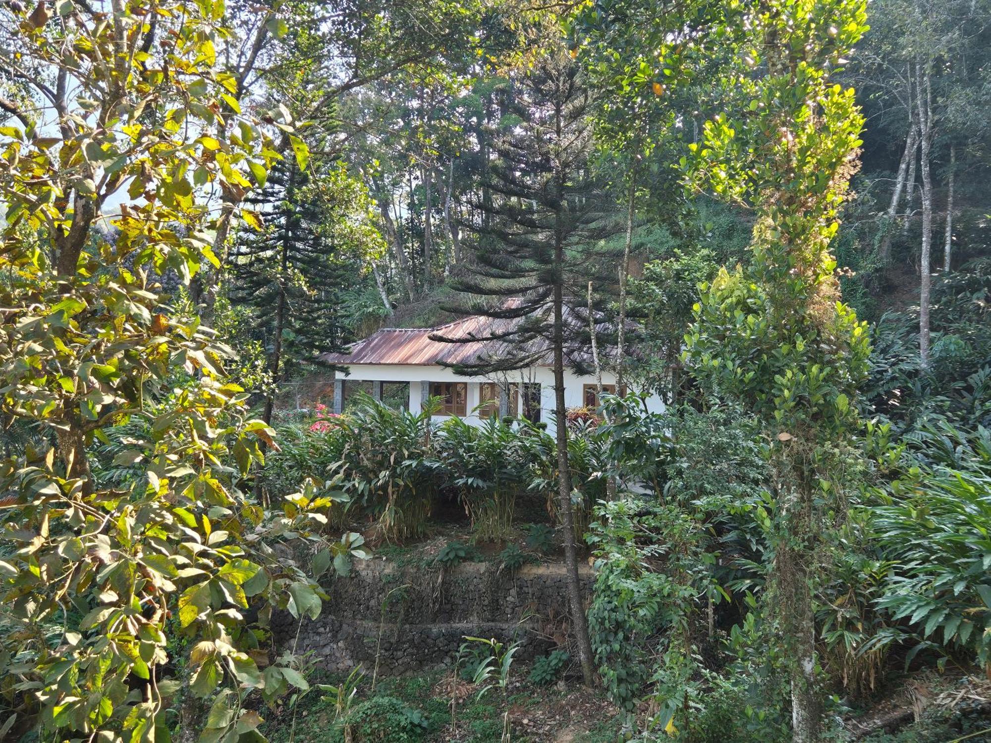 Anivilla Holiday Home Kunjithanny Anachal Buitenkant foto