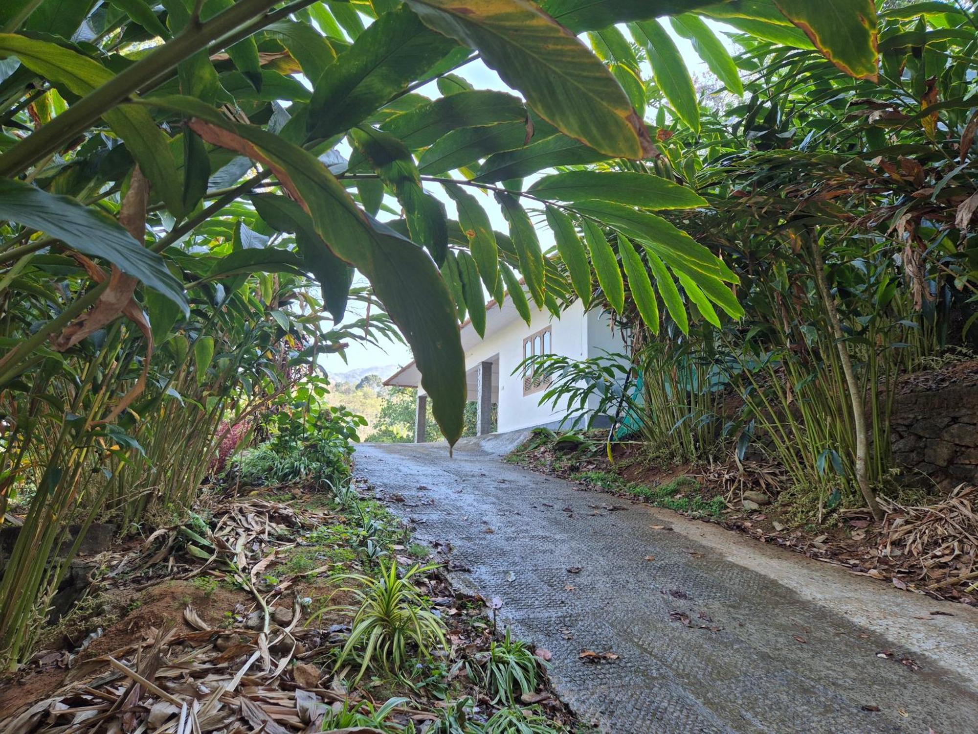 Anivilla Holiday Home Kunjithanny Anachal Buitenkant foto